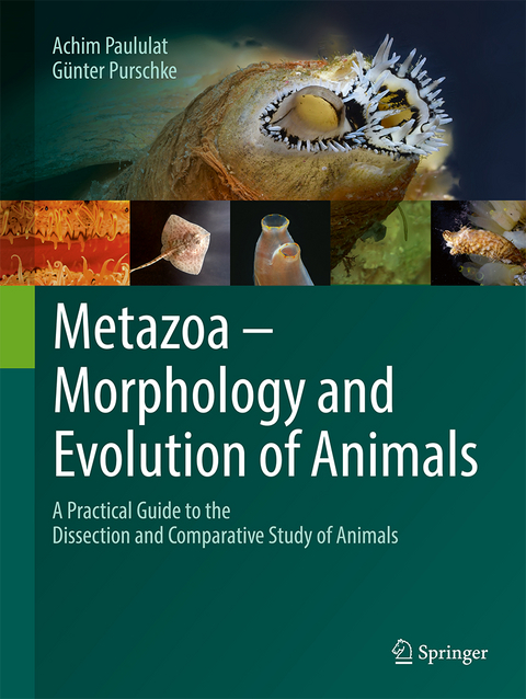 Metazoa – Morphology and Evolution of Animals - Achim Paululat, Günter Purschke