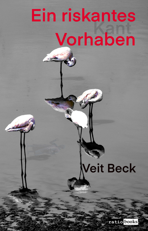 Ein riskantes Vorhaben - Veit Beck