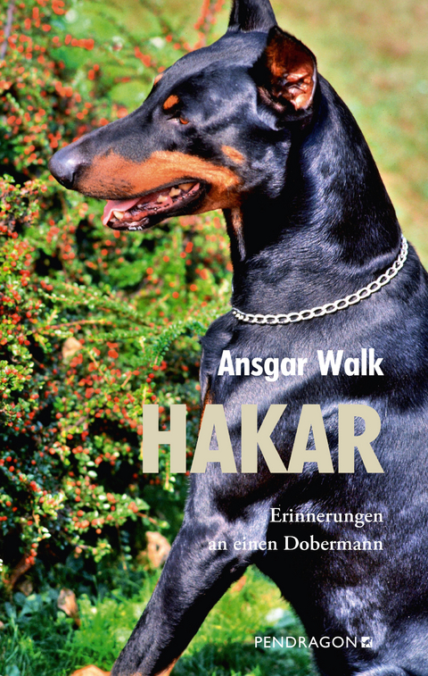 Hakar - Ansgar Walk