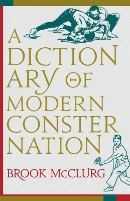 A Dictionary of Modern Consternation - Brook McClurg