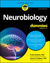 Neurobiology For Dummies - Amthor, Frank; Theibert, Anne