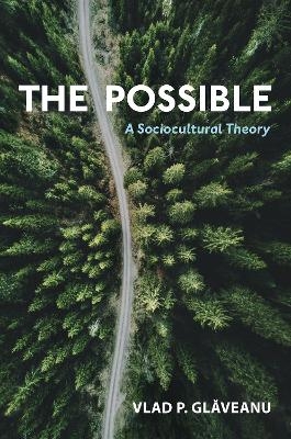 The Possible - Vlad P. Glăveanu