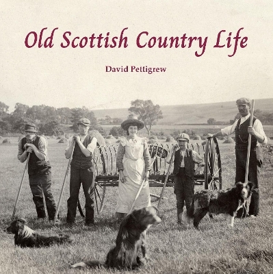 Old Scottish Country Life - David Pettigrew