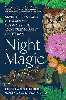 Night Magic - Leigh Ann Henion