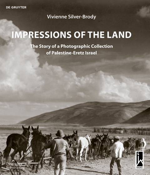 Impressions of the Land - Vivienne Silver-Brody