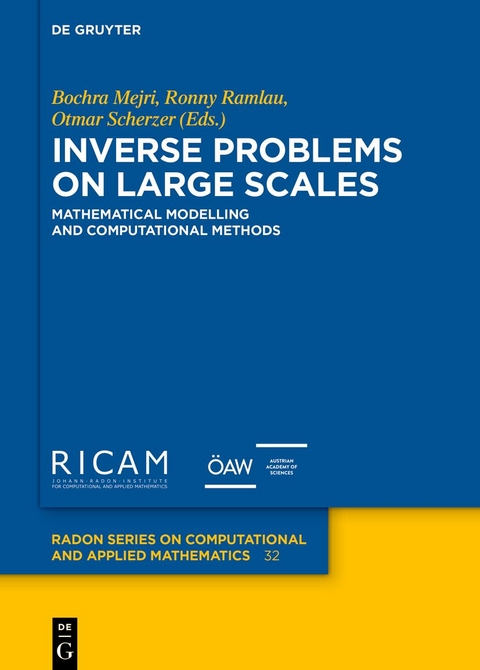 Inverse Problems on Large Scales - 