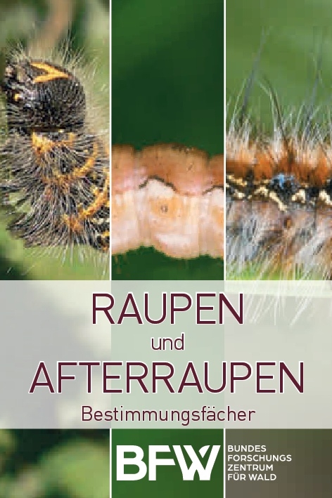 Raupen und Afterraupen - James Conell, Bernhard Perny, Gottfried Steyrer