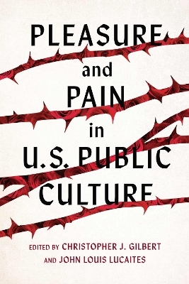 Pleasure and Pain in US Public Culture - Joshua Trey Barnett, Christopher J. Gilbert, Joshua Gunn