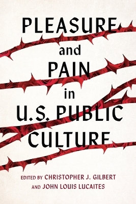 Pleasure and Pain in US Public Culture - Joshua Trey Barnett, Christopher J. Gilbert, Joshua Gunn