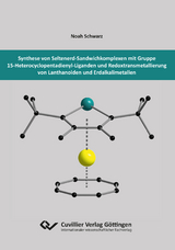 Synthese von Seltenerd-Sandwichkomplexen mit Gruppe 15-Heterocyclopentadienyl-Liganden und Redoxtransmetallierung von Lanthanoiden und Erdalkalimetallen - Noah Schwarz