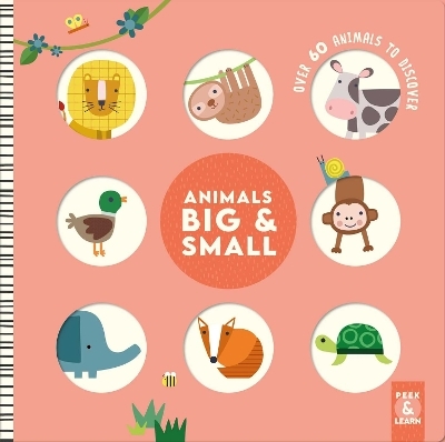 Animals Big & Small - Rebecca Weerasakera