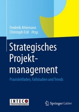 Strategisches Projektmanagement - 