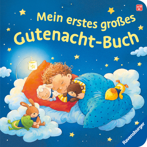 Mein erstes großes Gutenacht-Buch – Gutenachtgeschichten für Kinder ab 1 Jahr - Sandra Grimm