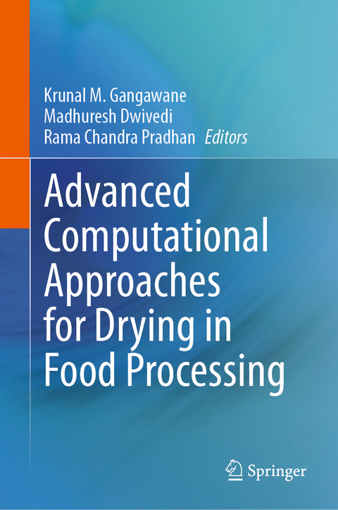 Advanced Computational Approaches for Drying in Food Processing - 