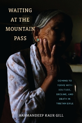 Waiting at the Mountain Pass - Harmandeep Kaur Gill