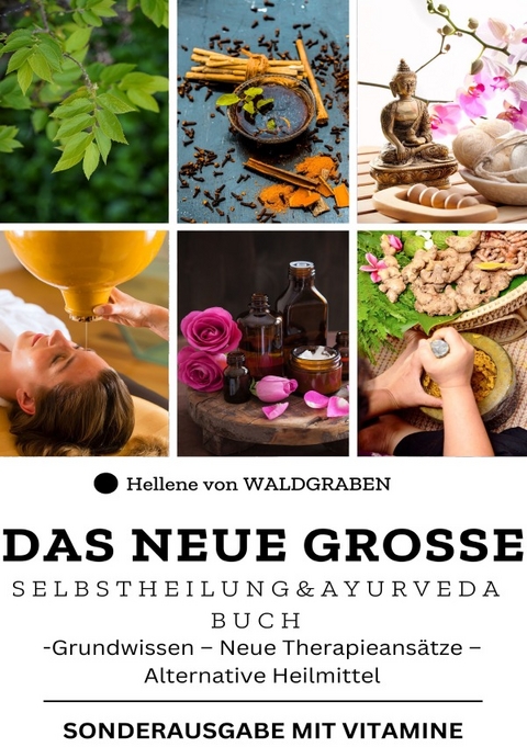 Das neue große Selbstheilung und Ayurveda Buch : Grundwissen – Neue Therapieansätze –Alternative Heilmittel - Hellene von Waldgraben