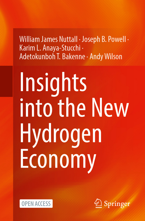 Insights into the New Hydrogen Economy - William James Nuttall, Joseph B. Powell, Karim L. Anaya-Stucchi, Adetokunboh T. Bakenne, Andy Wilson