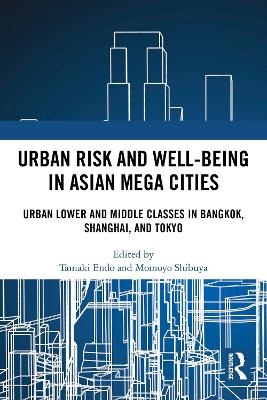 Urban Risk and Well-being in Asian Megacities - 