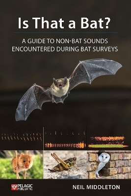 Is That a Bat? - Neil Middleton