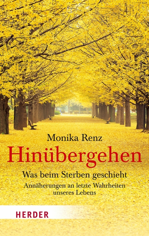 Hinübergehen - Monika Renz