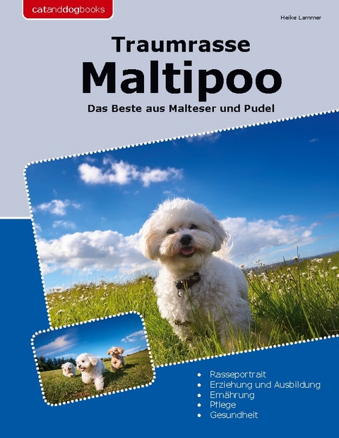 Traumrasse Maltipoo - Heike Lammer