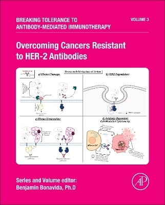 Overcoming Cancers Resistant to HER-2 Antibodies - 