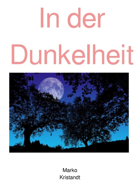 In der Dunkelheit - Marko Kristandt