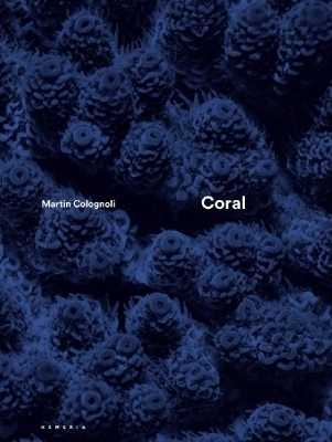 Coral - Martin Colognoli, Charlie Veron, Denis Allemand