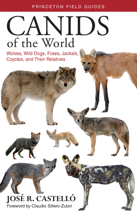 Canids of the World - José R. Castelló