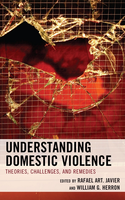 Understanding Domestic Violence - 