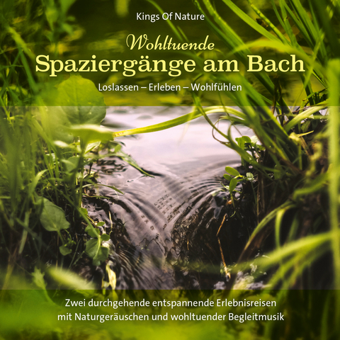 Wohltuende Spaziergänge am Bach - 