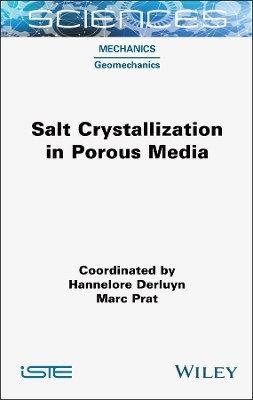 Salt Crystallization in Porous Media - 