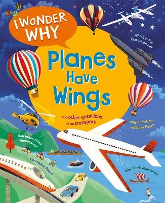 I Wonder Why Planes Have Wings - Christopher Maynard