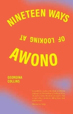 Nineteen Ways of Looking at Awono - Georgina Collins