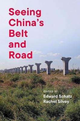 Seeing China's Belt and Road - 