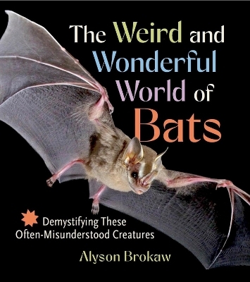 The Weird and Wonderful World of Bats - Alyson Brokaw