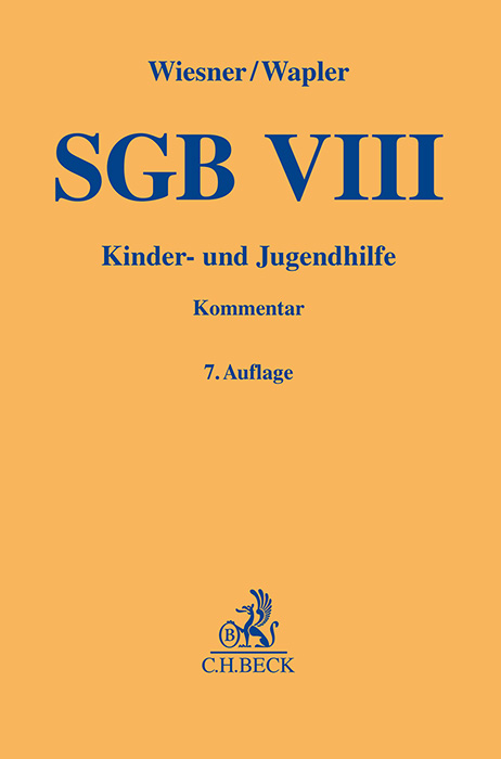 SGB VIII - 