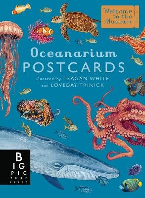 Oceanarium Postcard Box Set - Loveday Trinick