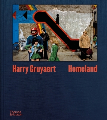 Harry Gruyaert: Homeland - Harry Gruyaert, Brice Matthieussent