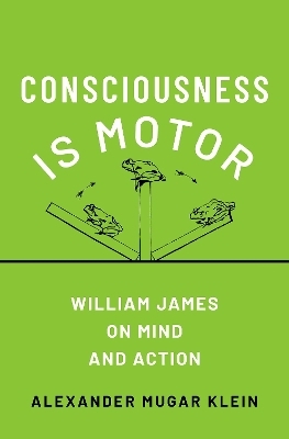 Consciousness is Motor - Alexander Mugar Klein