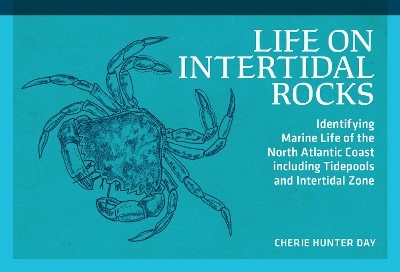 Life on Intertidal Rocks - Cherie Hunter Day