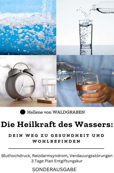 Die Heilkraft des Wassers: Dein Weg zu Gesundheit und Wohlbefinden Bluthochdruck, Reizdarmsyndrom, Verdauungsstörungen: 3 Tage Plan Entgiftungskur: Sonderausgabe Trinktagebuch - Hellene von Waldgraben