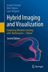 Hybrid Imaging and Visualization - Awange, Joseph; Paláncz, Béla; Völgyesi, Lajos