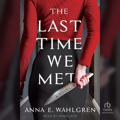 The Last Time We Met - Anna E Wahlgren