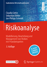 Risikoanalyse - Cottin, Claudia; Döhler, Sebastian; Schmidt, Jan-Philipp