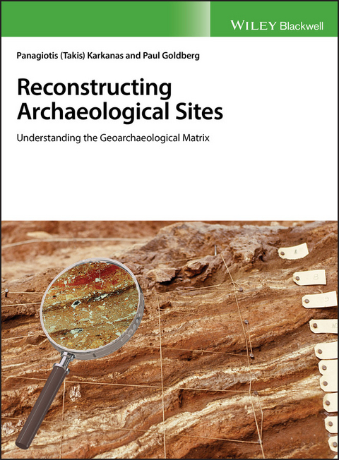 Reconstructing Archaeological Sites -  Paul Goldberg,  Panagiotis Karkanas