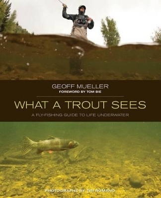 What a Trout Sees - Geoff Mueller