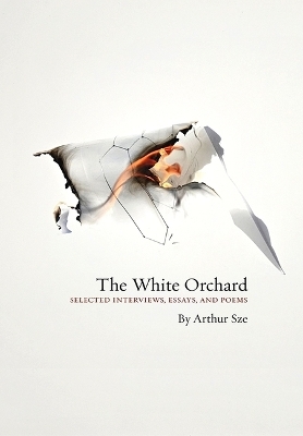 The White Orchard - Arthur Sze