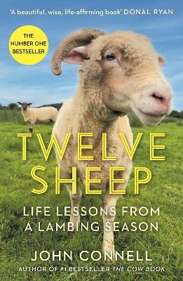 Twelve Sheep - John Connell