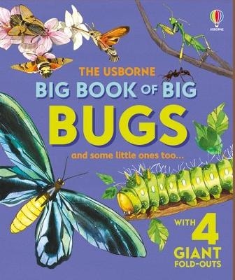 Big Book of Big Bugs - Emily Bone